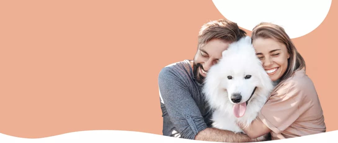 Tolle Produkte für deinen Hund: von Futter, über Nahrungsergänzung bis hin zu Pflege, Spiel und Spaß.