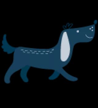 Nützliches Wissen und tolle Produkte rund um deinen Hund